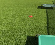 IMG_3975