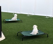 img_0424