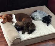3cuties